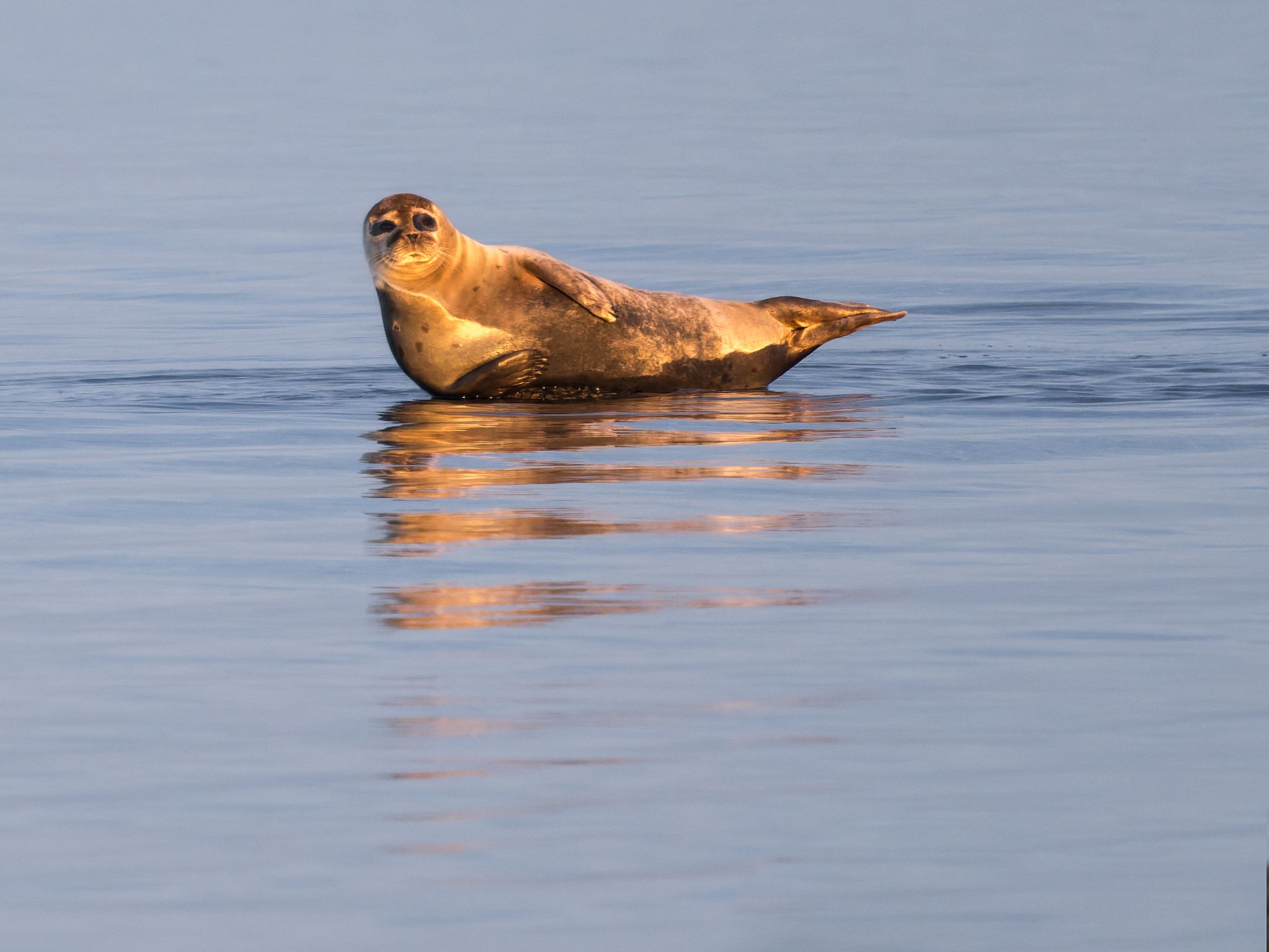 202 260418 0612 H  1HR0269 DxO DeepPRIME 3